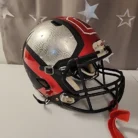 Riddell-Helmet-Size-L-Initial-Season-2014 (1)