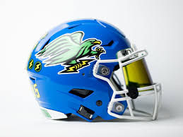 Custom football helmet